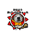 動くビーグル犬(ハロウィン)（個別スタンプ：10）