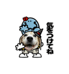 動くビーグル犬(ハロウィン)（個別スタンプ：11）