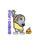 動くビーグル犬(ハロウィン)（個別スタンプ：15）