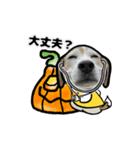 動くビーグル犬(ハロウィン)（個別スタンプ：17）