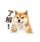地味に動く柴犬スタンプ（個別スタンプ：1）