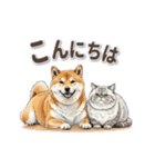 地味に動く柴犬スタンプ（個別スタンプ：6）