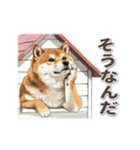 地味に動く柴犬スタンプ（個別スタンプ：15）
