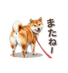 地味に動く柴犬スタンプ（個別スタンプ：24）