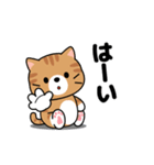 動く！茶トラ猫の日常会話（個別スタンプ：1）