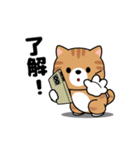 動く！茶トラ猫の日常会話（個別スタンプ：3）