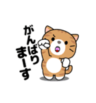 動く！茶トラ猫の日常会話（個別スタンプ：16）