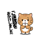 動く！茶トラ猫の日常会話（個別スタンプ：17）