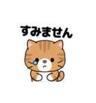 動く！茶トラ猫の日常会話（個別スタンプ：18）