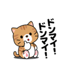 動く！茶トラ猫の日常会話（個別スタンプ：19）