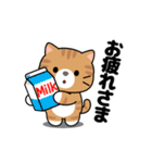 動く！茶トラ猫の日常会話（個別スタンプ：21）