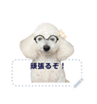 Moko stamp8（個別スタンプ：1）