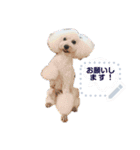 Moko stamp8（個別スタンプ：2）