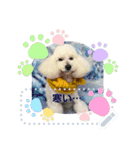 Moko stamp8（個別スタンプ：3）