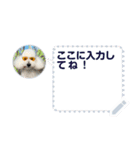 Moko stamp8（個別スタンプ：4）
