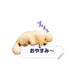 Moko stamp8（個別スタンプ：5）