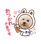 Moko stamp8（個別スタンプ：8）