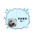 Moko stamp8（個別スタンプ：9）