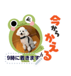 Moko stamp8（個別スタンプ：10）
