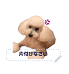 Moko stamp8（個別スタンプ：11）