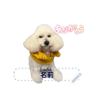 Moko stamp8（個別スタンプ：14）
