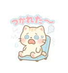 もふもふねこスタンプ40個（個別スタンプ：21）