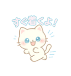 もふもふねこスタンプ40個（個別スタンプ：31）