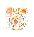 もふもふねこスタンプ40個（個別スタンプ：32）