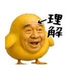 ひよこじじぃの可愛いピヨピヨ日常返信（個別スタンプ：1）