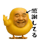 ひよこじじぃの可愛いピヨピヨ日常返信（個別スタンプ：4）
