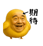ひよこじじぃの可愛いピヨピヨ日常返信（個別スタンプ：13）
