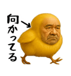 ひよこじじぃの可愛いピヨピヨ日常返信（個別スタンプ：19）