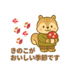 秋の日常リスの丁寧な言葉/敬語スタンプ（個別スタンプ：21）