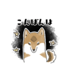 柴犬すースタンプ (ゆるめ)（個別スタンプ：3）