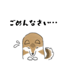 柴犬すースタンプ (ゆるめ)（個別スタンプ：10）