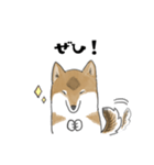 柴犬すースタンプ (ゆるめ)（個別スタンプ：14）
