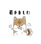 柴犬すースタンプ (ゆるめ)（個別スタンプ：20）