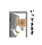 柴犬すースタンプ (ゆるめ)（個別スタンプ：22）