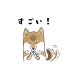 柴犬すースタンプ (ゆるめ)（個別スタンプ：28）