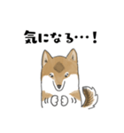 柴犬すースタンプ (ゆるめ)（個別スタンプ：29）