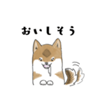柴犬すースタンプ (ゆるめ)（個別スタンプ：30）