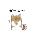 柴犬すースタンプ (ゆるめ)（個別スタンプ：32）