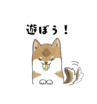 柴犬すースタンプ (ゆるめ)（個別スタンプ：34）