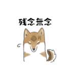 柴犬すースタンプ (ゆるめ)（個別スタンプ：37）