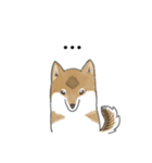 柴犬すースタンプ (ゆるめ)（個別スタンプ：38）