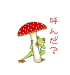 アカメアマガエルとベニテングダケ（個別スタンプ：4）