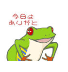 アカメアマガエルとベニテングダケ（個別スタンプ：8）