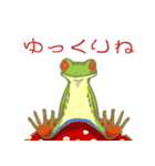 アカメアマガエルとベニテングダケ（個別スタンプ：16）