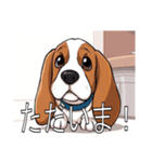 バセットハウンドがいっぱい（個別スタンプ：12）
