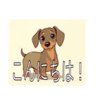 スタンダードダックスフンド（個別スタンプ：2）